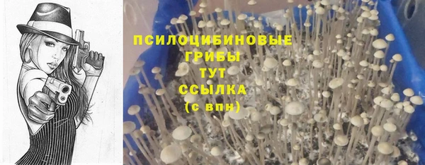 стафф Армянск