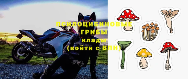 стафф Армянск